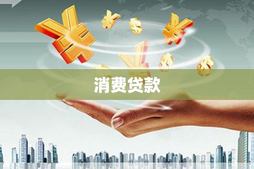 龙文消费贷款