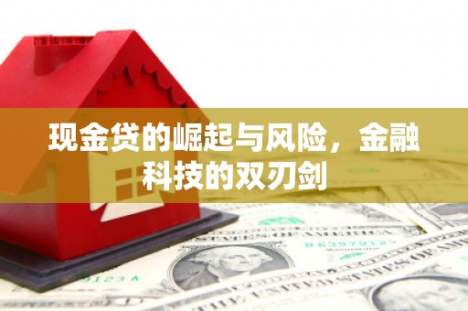 龙文现金贷的崛起与风险，金融科技的双刃剑