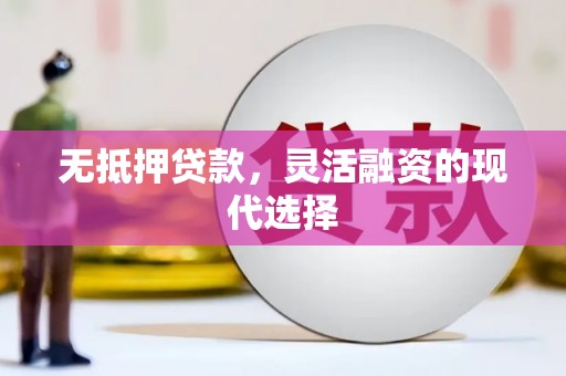 龙文无抵押贷款，灵活融资的现代选择