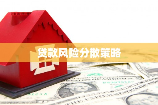 龙文贷款风险分散策略
