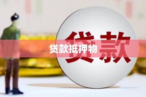 龙文贷款抵押物