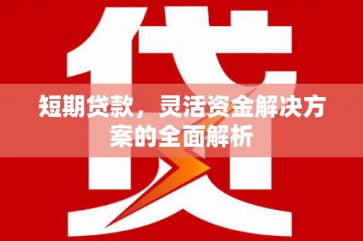 龙文短期贷款，灵活资金解决方案的全面解析