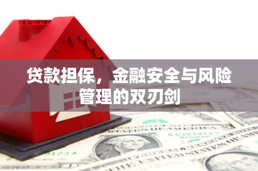 龙文贷款担保，金融安全与风险管理的双刃剑