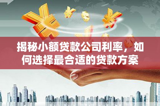 龙文揭秘小额贷款公司利率，如何选择最合适的贷款方案