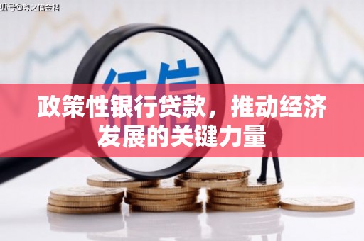 龙文政策性银行贷款，推动经济发展的关键力量