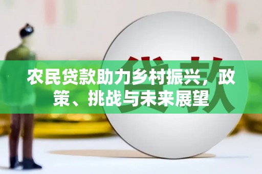 龙文农民贷款助力乡村振兴，政策、挑战与未来展望
