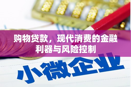 龙文购物贷款，现代消费的金融利器与风险控制