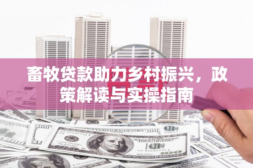 龙文畜牧贷款助力乡村振兴，政策解读与实操指南