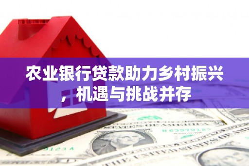 龙文农业银行贷款助力乡村振兴，机遇与挑战并存