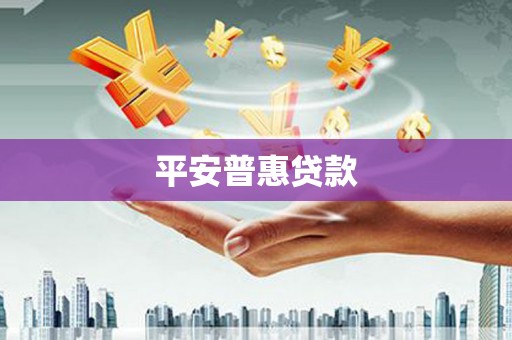 龙文平安普惠贷款
