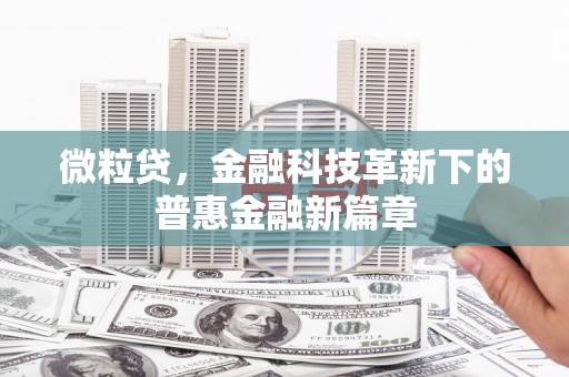 龙文微粒贷，金融科技革新下的普惠金融新篇章