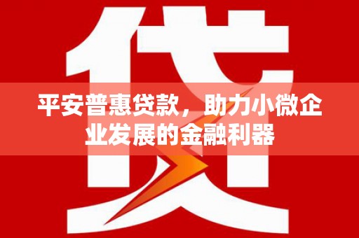 龙文平安普惠贷款，助力小微企业发展的金融利器