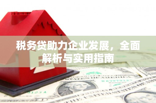 龙文税务贷助力企业发展，全面解析与实用指南