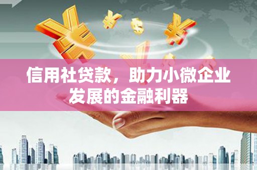 龙文信用社贷款，助力小微企业发展的金融利器