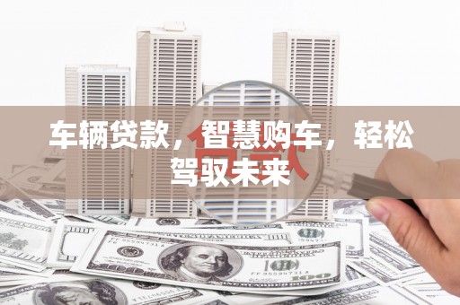 龙文车辆贷款，智慧购车，轻松驾驭未来