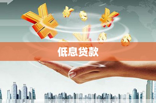 龙文低息贷款