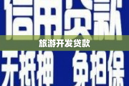 龙文旅游开发贷款