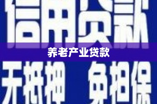 龙文养老产业贷款