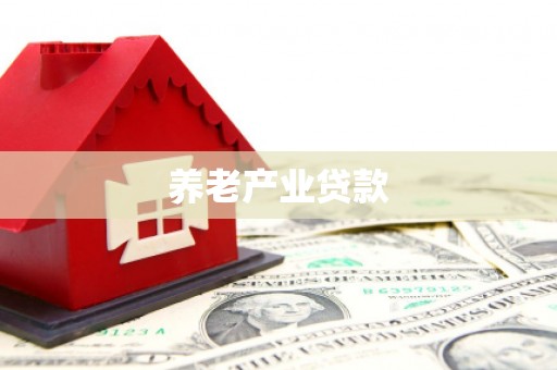 龙文养老产业贷款