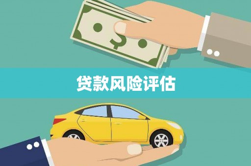 龙文贷款风险评估