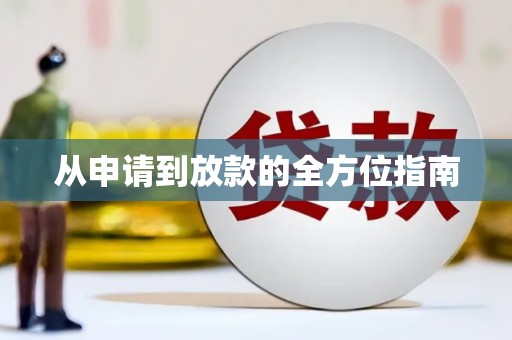 龙文从申请到放款的全方位指南