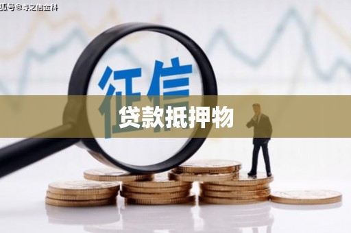 龙文贷款抵押物