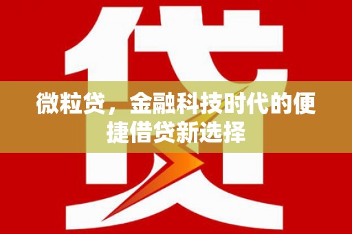 龙文微粒贷，金融科技时代的便捷借贷新选择