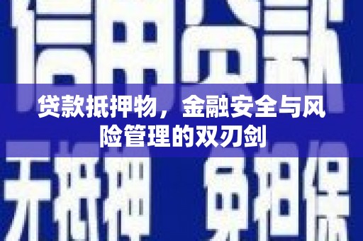 龙文贷款抵押物，金融安全与风险管理的双刃剑