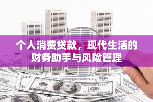 龙文个人消费贷款，现代生活的财务助手与风险管理