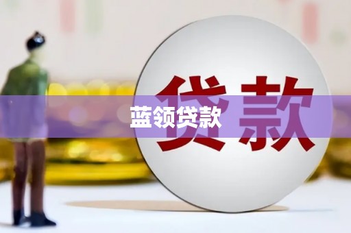 龙文蓝领贷款