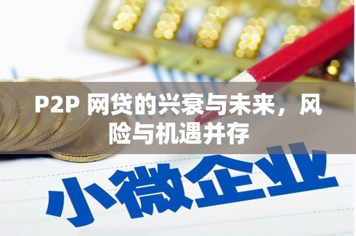 龙文P2P 网贷的兴衰与未来，风险与机遇并存