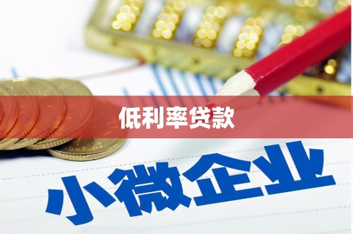 龙文低利率贷款