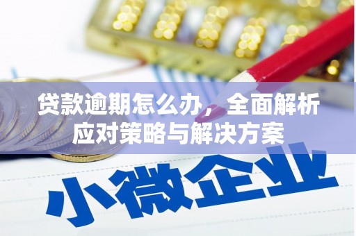 龙文贷款逾期怎么办，全面解析应对策略与解决方案