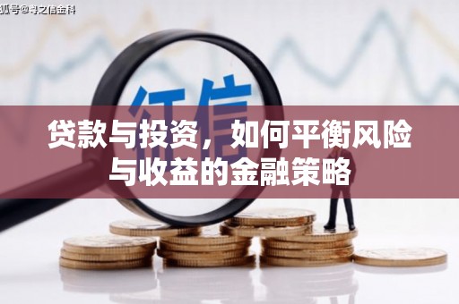 龙文贷款与投资，如何平衡风险与收益的金融策略