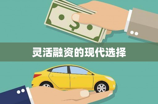 龙文灵活融资的现代选择