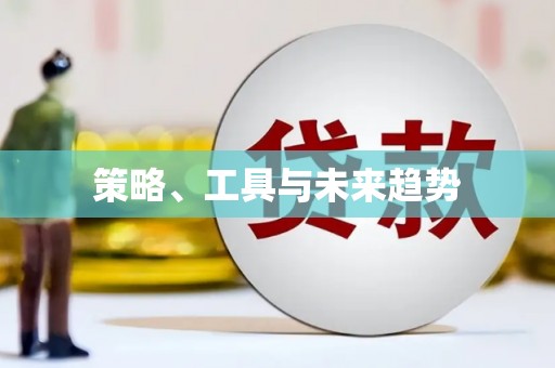 龙文策略、工具与未来趋势