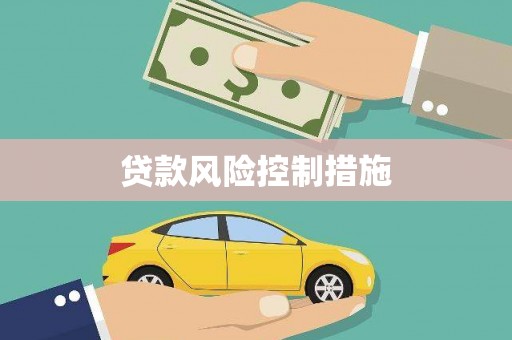 龙文贷款风险控制措施