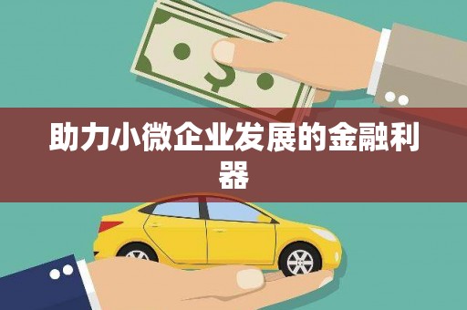 龙文助力小微企业发展的金融利器