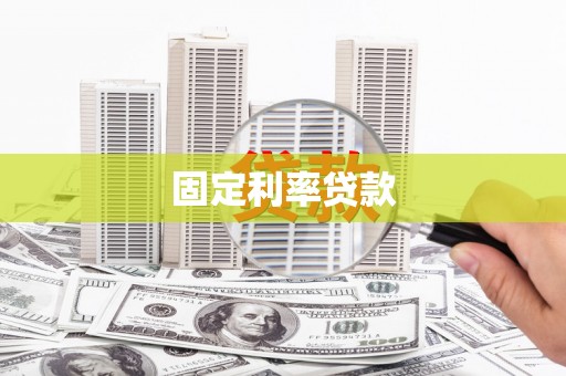 龙文固定利率贷款