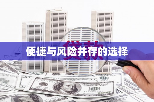 龙文便捷与风险并存的选择