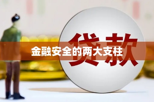 龙文金融安全的两大支柱