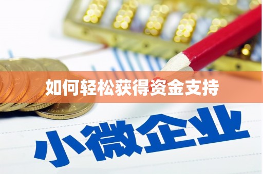 龙文如何轻松获得资金支持