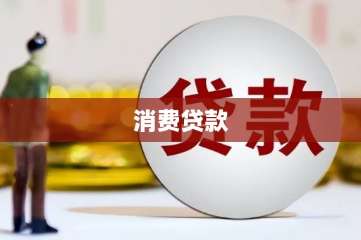 龙文消费贷款