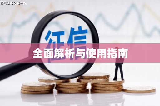 龙文全面解析与使用指南