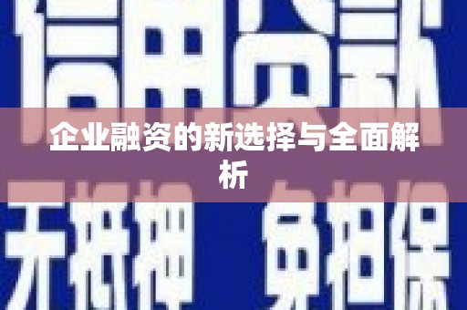 龙文企业融资的新选择与全面解析