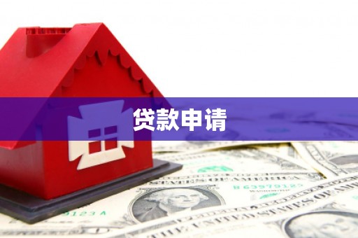 龙文贷款申请