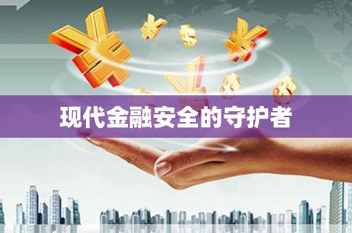 龙文现代金融安全的守护者