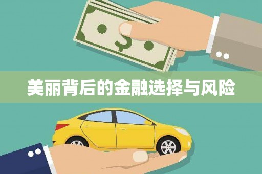 龙文美丽背后的金融选择与风险