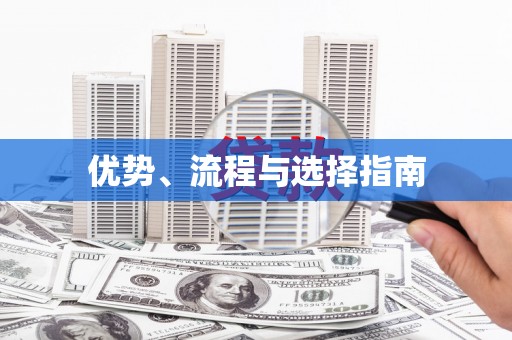 龙文优势、流程与选择指南