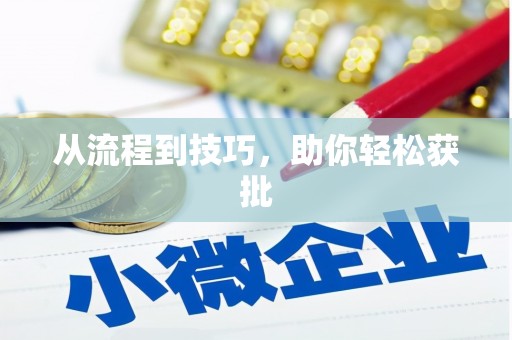 龙文从流程到技巧，助你轻松获批